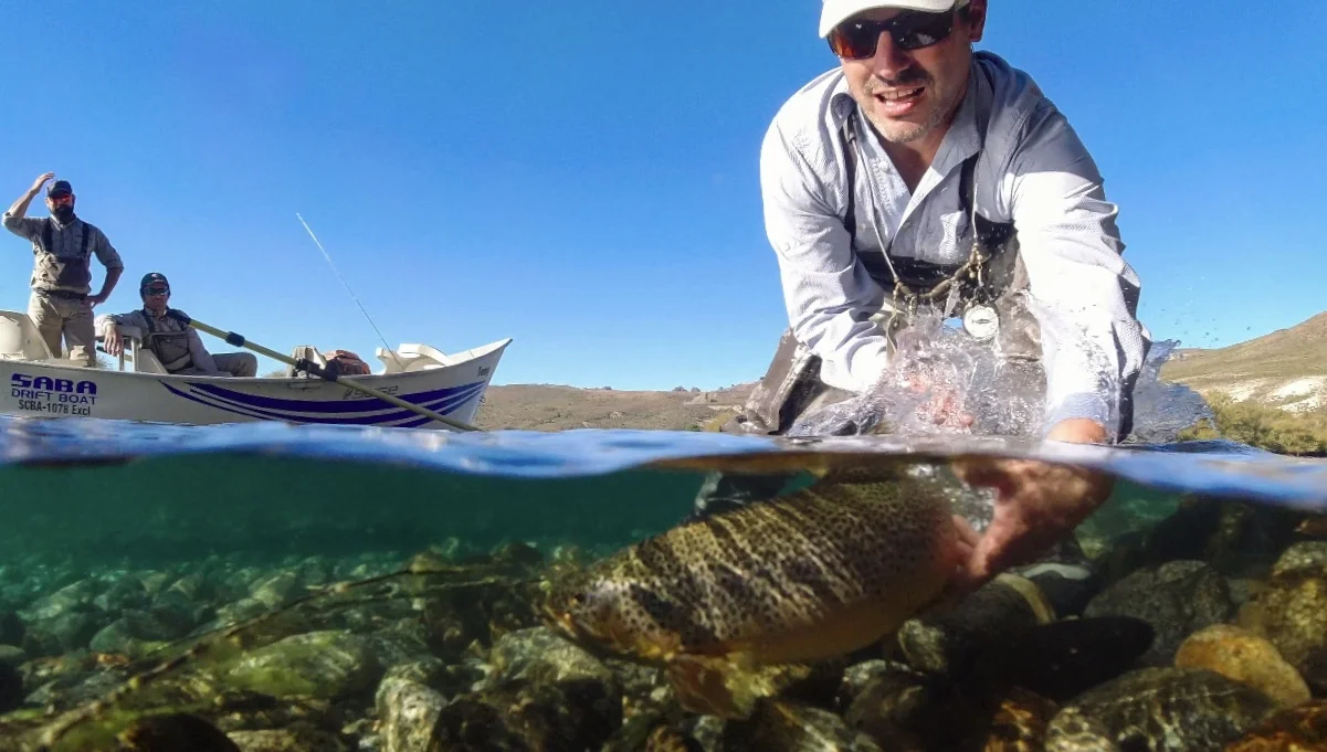 Trophy brown trout catch with Bariloche fishing guide
